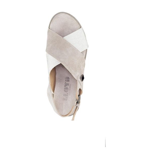 Nanemike.shop01ccace6ee 5