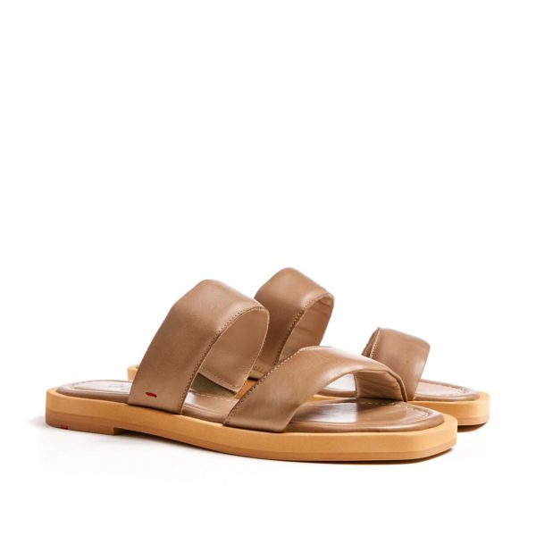 Nanemike.shop2461cd390b 1