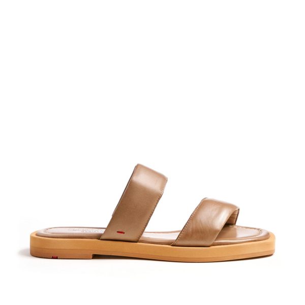 Nanemike.shop2461cd390b 3