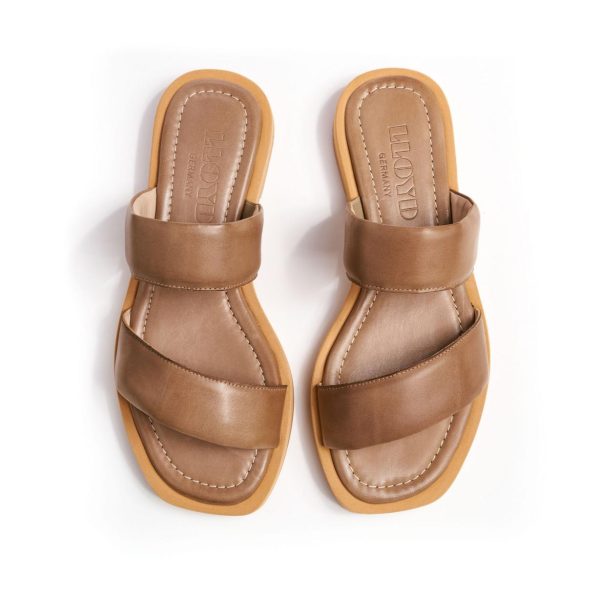 Nanemike.shop2461cd390b 4