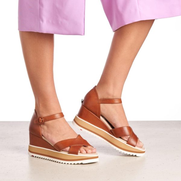 Nanemike.shop3395643918 3