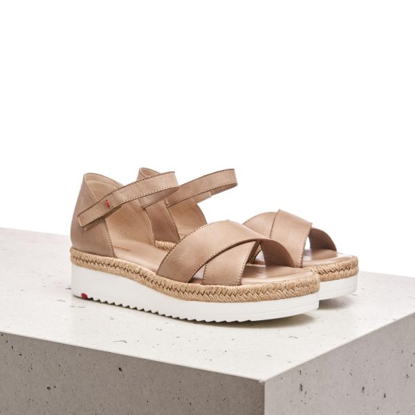 Nanemike.shop47461b83a7 1