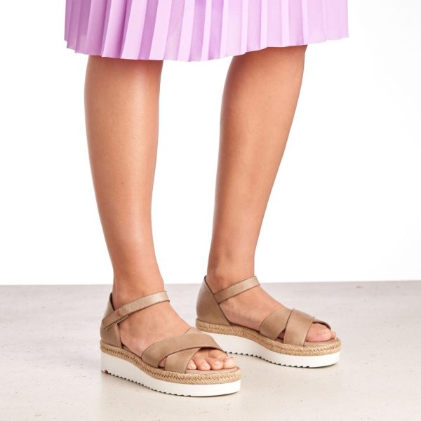 Nanemike.shop47461b83a7 2