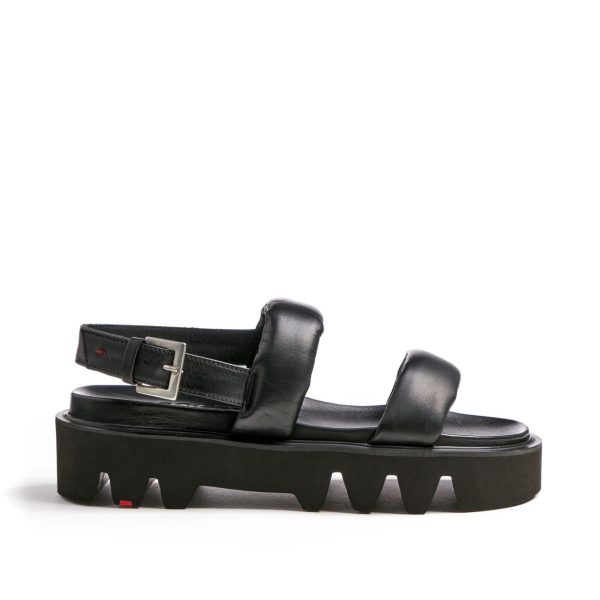 Nanemike.shop6a1fd8d5df 2