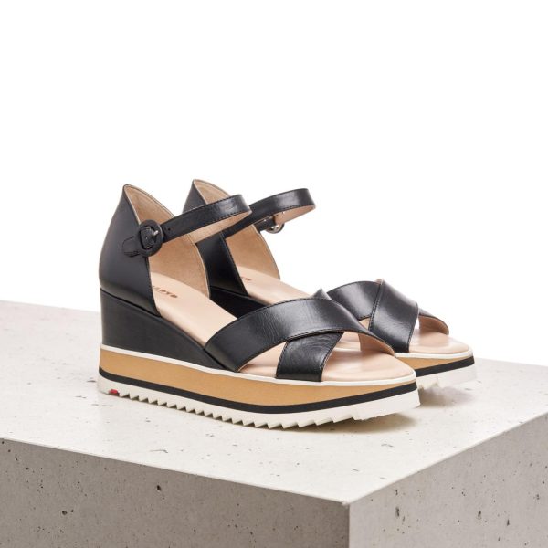 Nanemike.shop784b691be4 1