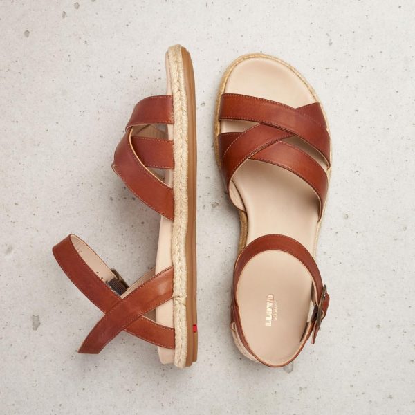 Nanemike.shop95783f70bc 4