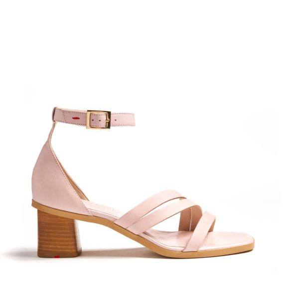 Nanemike.shopafd36b645c 3