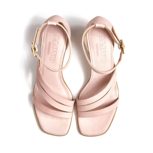 Nanemike.shopafd36b645c 4