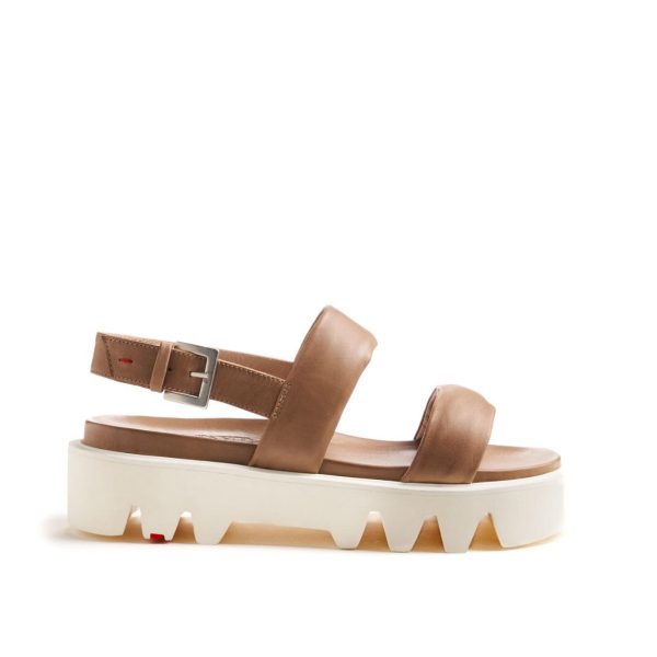 Nanemike.shopda6a5dc4de 2