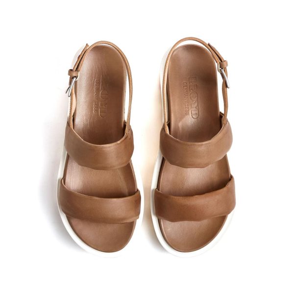 Nanemike.shopda6a5dc4de 3