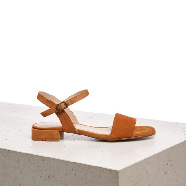 Nanemike.shopdca574dbad 2