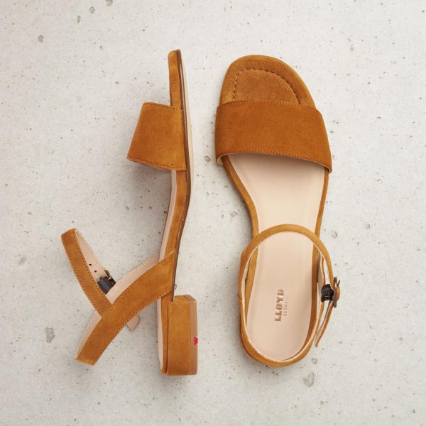 Nanemike.shopdca574dbad 4