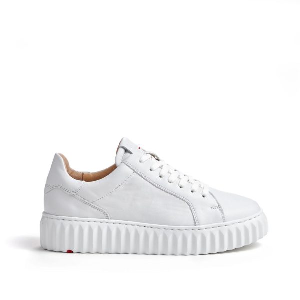 Nanemike.shope578dde9de 2